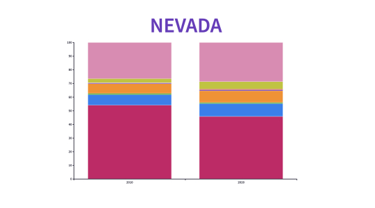 Racial and Ethnic Diversity in the United States: 2010 Census and 2020 ...